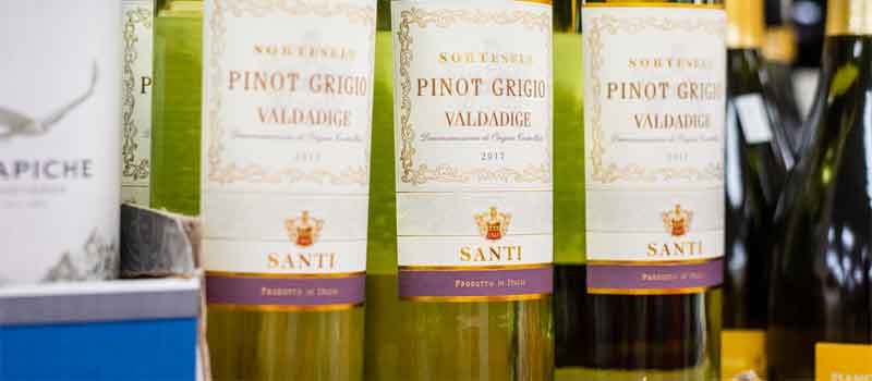  pino grigio close up